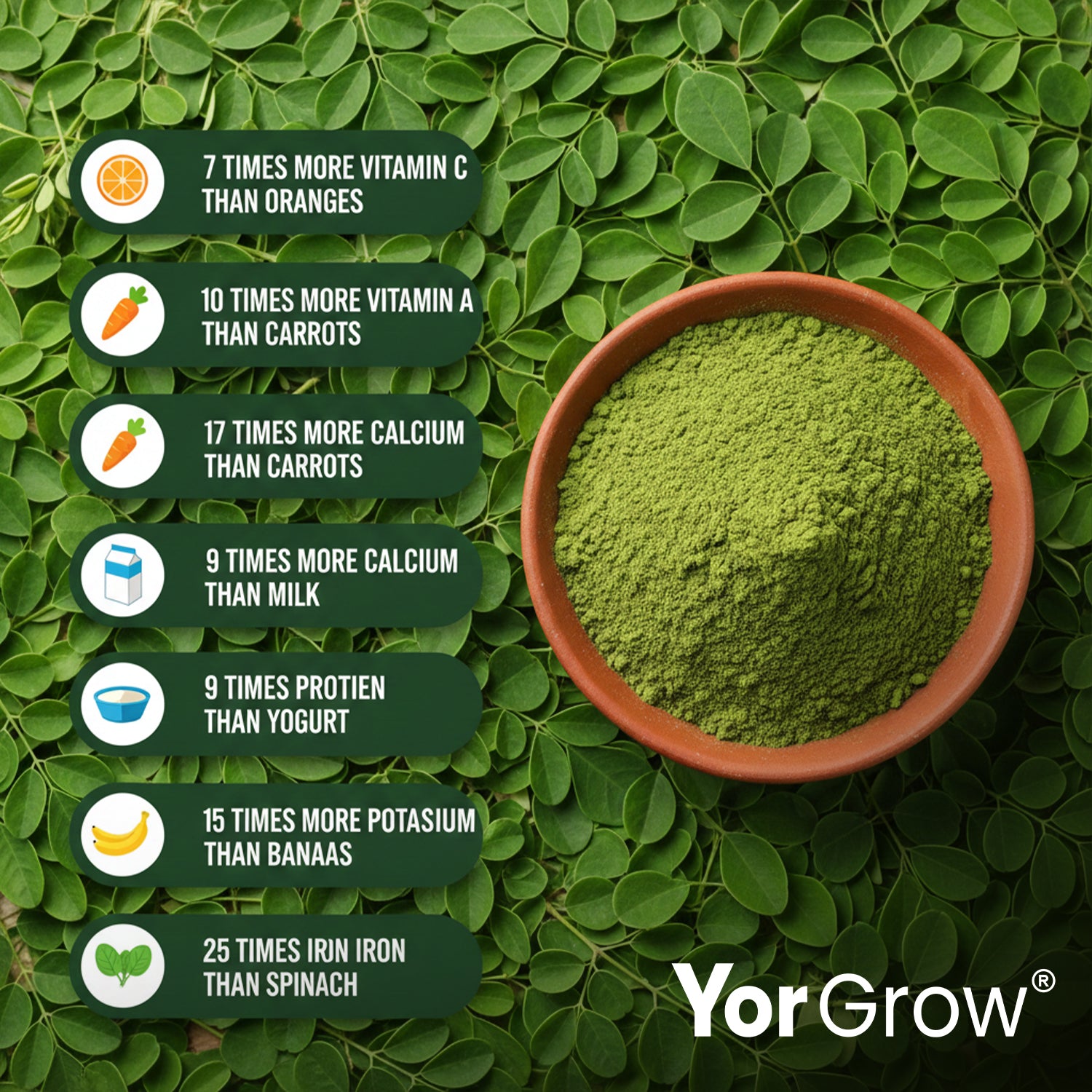 Superfood Organic Moringa Powder - 100% Certified, Lab-Tested for Purity & Potency